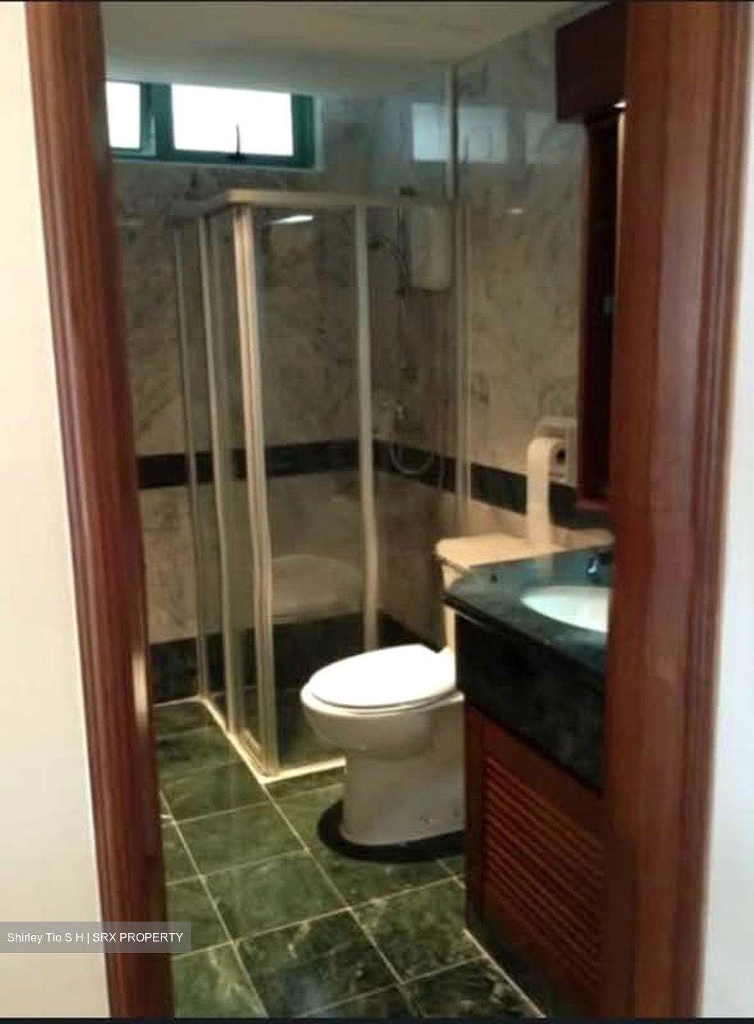 Changi Green (D16), Condominium #566455601